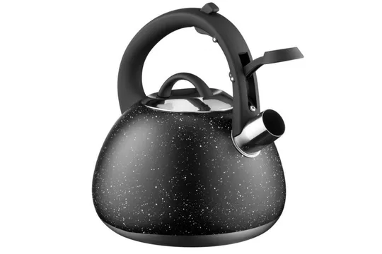 Чайник со свистком Ardesto Gemini AR-1957-KS 2.5 л черный Інтернет-аукціон