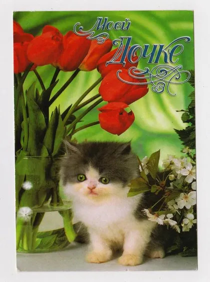 фото, МОЕЙ ДОЧКЕ = КОТЕНОК - КОТ = без исходных данных #