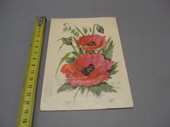Открытка цветы мак художник В. Колганов Таллин 1975 год Эстония №18047 Ціна