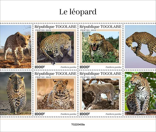 Того - Леопарды-2022.Чистый полный красивый комплект.MNH. З аукціону