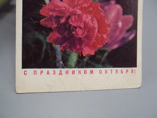 Открытка С праздником октября! цветы гвоздики фото Г. Костенко 1973 год №16082 Де купити