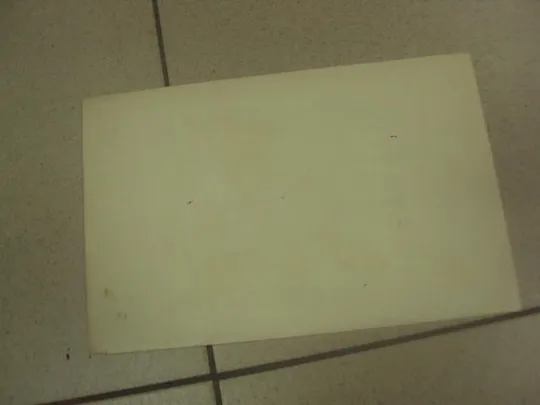 литографии саврасов грачи прилетели №8345 Продаж