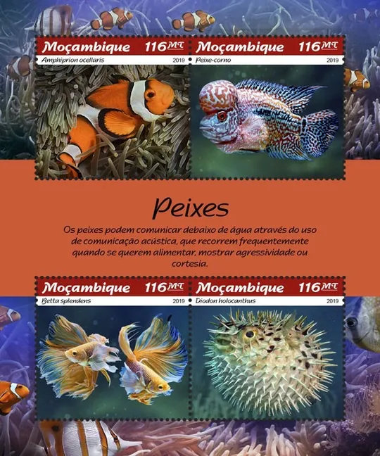 Мозамбик-Рыбы-2019.Чистый полный красивый комплект.MNH. Ціна