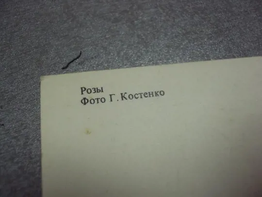 открытка розы 1981 костенко №192 З аукціону