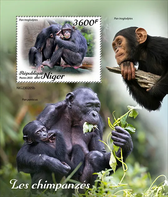 Нигер-Обезьяны-Шимпанзе-2023. Чистый полный красивый комплект. MNH. Ціна
