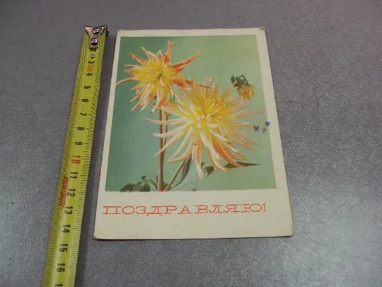 открытка поздравляю георгины 1968 матанова №10930 Ціна