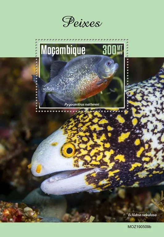 Мозамбик-Рыбы-2019. Чистый полный красивый комплект. MNH. Ціна