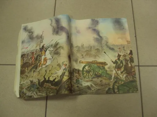 книга альбом бородино лермонтов 1974 москва цыбина №13350м Інтернет-аукціон