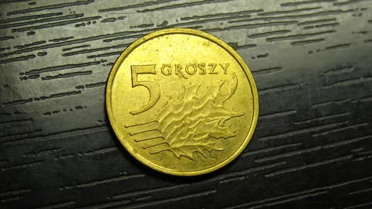 Купити 5 грошей 2013 Польща (старий тип)