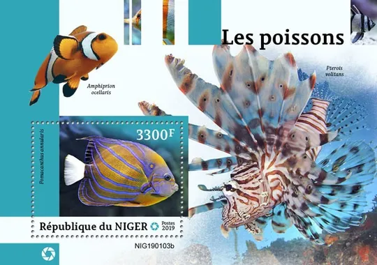 Нигер-Рыбы-2019. Чистый полный красивый комплект MNH. Ціна