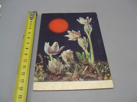 Открытка цветы подснежники фото Р. Якименка 1970 год виконком подпись №18046 Ціна