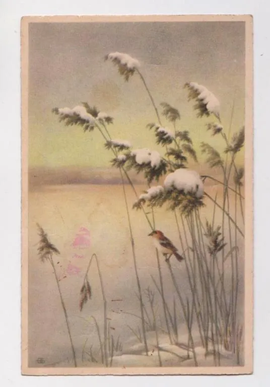 ЗИМОВИЙ СЮЖЕТ З ПТАШКОЮ =  до 1943 р. = HACO ELITE 6572 = іноземна листівка = п/п Ціна