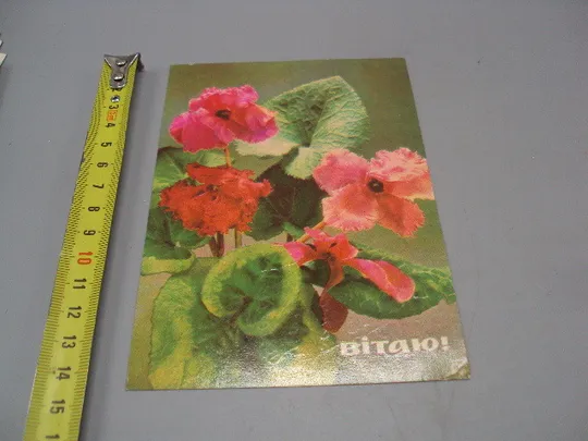 Открытка Поздравляю! цветы авторы К. Шамшин, А. Сольдат 1971 год №17994 Ціна