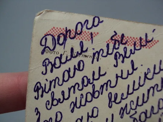 Открытка С праздником октября! цветы гвоздики фото Г. Костенко 1973 год №16082 Торговий майданчик