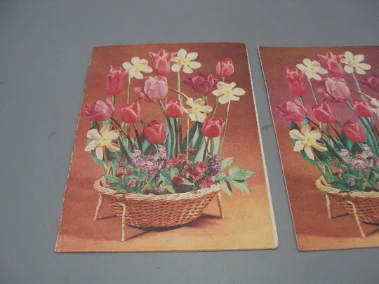 Купити Открытка телеграмма цветы нарциссы и тюльпаны фото Л. Круцко 1986 год лот 2 шт №16152