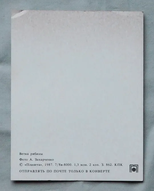 Купити Листівка - Ветка рябины - 1987 рік.