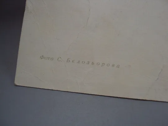 Открытка С праздником весны! цветы фото С. Белозерова 1964 год чистая №17856 Де купити