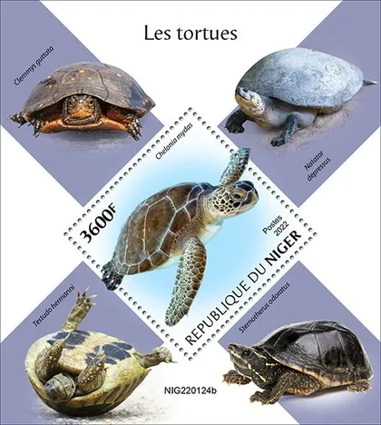 фото, Нигер-Черепахи-2022.Чистый полный комплект.MNH.