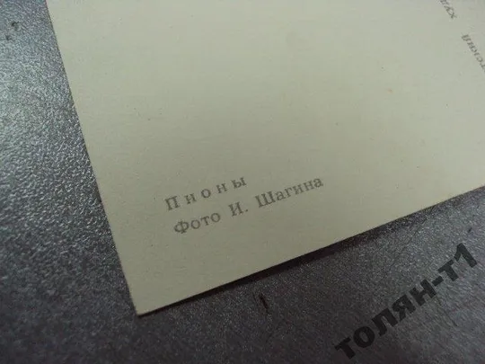 открытка пионы 1965 шагина лот 3 шт №1850 Інтернет-аукціон