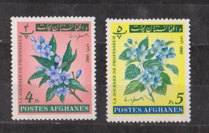фото, ФЛОРА = 1962 р. = АФГАНІСТАН - АФГАНИСТАН = негаш. ##