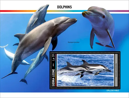 Сьерра Леоне-Дельфины-2023.Чистый полный комплект.MNH. Ціна