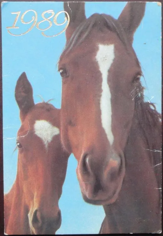 Лошади, 1989 рік Ціна