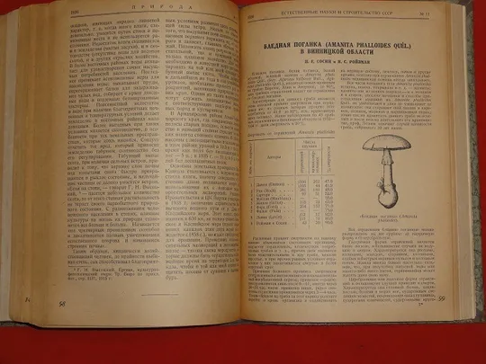 Природа. Піврічна підшивка. 1936р. Характеристики