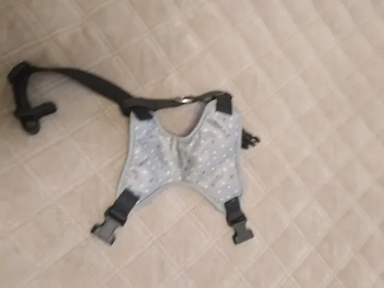 одежа для міні цуценя Де купити