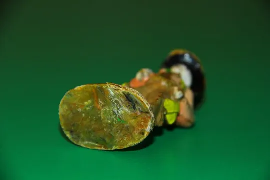 ковбой польша ПОЛЬЩА  70-80мм Продаж