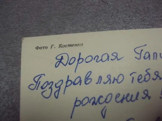 открытка розы 1981 костенко №169 Продаж
