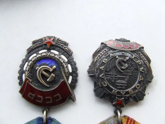 Орден ТКЗ -884160 наг. 1973 г. и ТС-184228 наг. 1976 г.+ доки на Правдивец Вера. в Україні