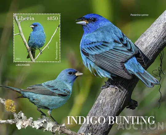Купити Либерия-Птицы-2022.Чистый полный красивый комплект-MNH