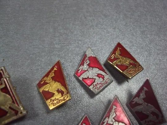 знак личности аркадий гайдар буденовец лот 12 шт №11910 З аукціону