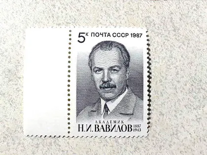 фото, Поштова марка СССР " 100 років від дня народження М. І. Вавілова " 1987 рік **