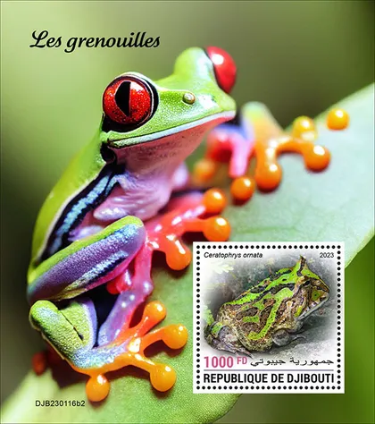 фото, Джибути-Лягушки-2023.Чистый полный красивый комплект.MNH.