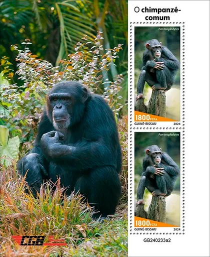 фото, Гвинея Бисау-Шимпанзе-2024. Чистый полный красивый комплект. MNH.