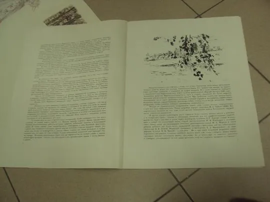 альбом репродукций верейский рисунки и литографии 1959 №8096 Характеристики