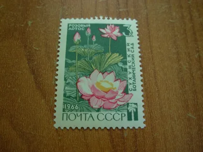 фото, 1966.ссср