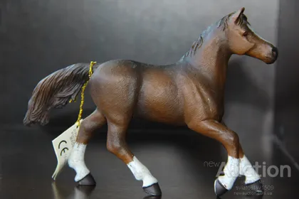фото, лошадь конь животные PAPO Франция 1: 18