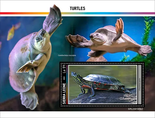 Купити Сьерра Леоне-Черепахи-2023. Чистый полный красивый комплект.MNH.