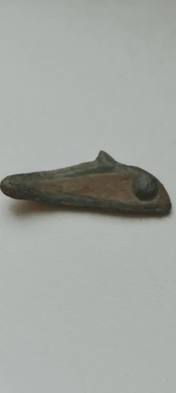 Древняя монета Дельфин с выпученными глазами,  Ольвия 5 век  до н.э nt463 Ціна