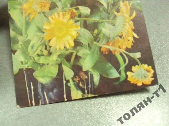 открытка тарасова 1968 календула №15622 З аукціону