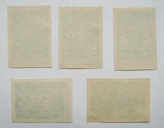 Купити МИНСК = СПИЧЕЧНЫЕ ЭТИКЕТКИ СССР = Пинский комбинат - 1968 г. = 5 шт. #