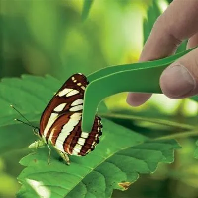 Набор для экспериментов EDU-Toys Комплект 6 в 1 (BL128) Недорого