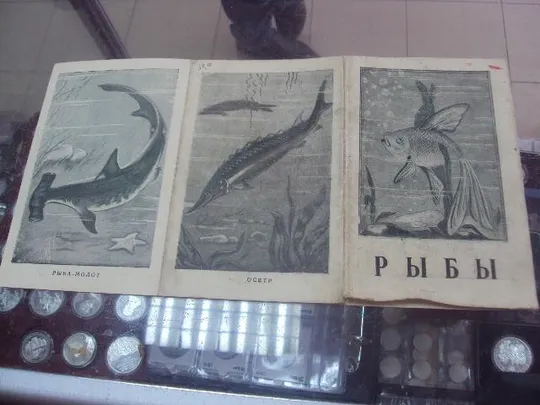 книга н.я.бабич рыбы сотрудник 1947 №76 З аукціону