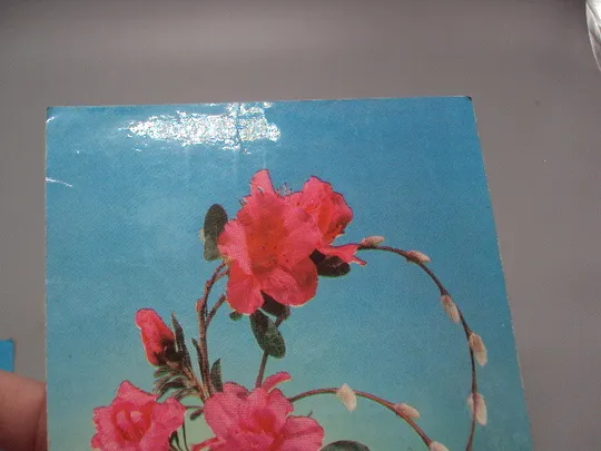 Открытка цветы в вазе Азалия и верба композиция Н. Минченко фото Р. Якименка 1976 г лот 2 шт №18013 Продаж