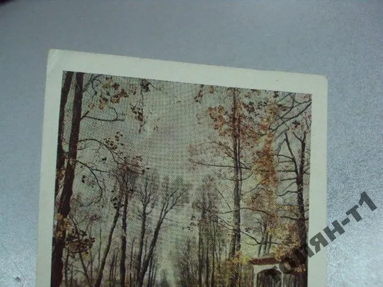 Купити открытка аллея летнего сада бродский 1958 №7664