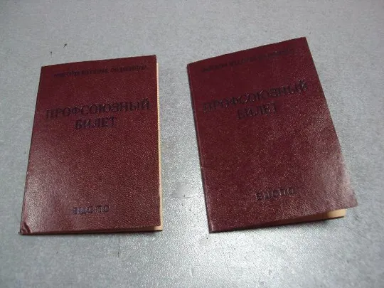 документ профсоюзный билет лот 2 шт №1700 Ціна