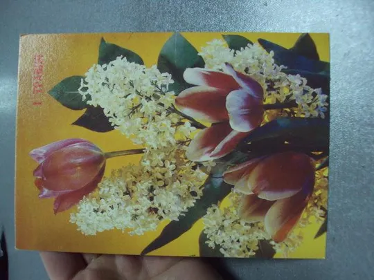 Купити открытка с праздником 1 мая 1989 дергилева №5785