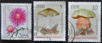 фото, ГДР Флора